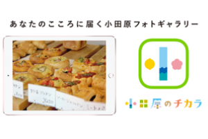 都市セールスアプリ｢小田原のチカラ｣ 15か月利用チケット（9.7インチiPad Pro Wi-Fi 128GB - ローズゴールド付き）の特産品画像