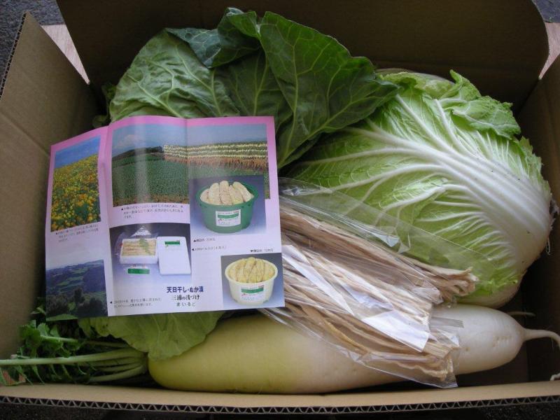 農家直送！三浦の冬野菜セットの特産品画像