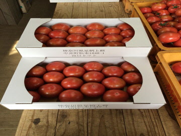 季節のトマト　山口トマトの特産品画像