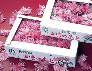 食用菊かきのもとの特産品画像