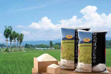 ＪＡ北越後コシヒカリ（特別栽培米）の特産品画像