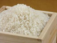 魚沼産コシヒカリ雪中貯蔵米の特産品画像