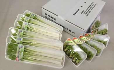 「魚沼からのお届け物」促成山菜セットの特産品画像