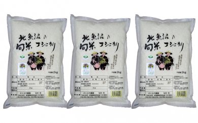 北魚沼の旬米コシヒカリ2kg袋×3の特産品画像