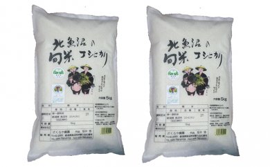 北魚沼の旬米コシヒカリ5kg袋×2の特産品画像