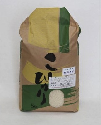 聖籠産米　コシヒカリ５kgの特産品画像
