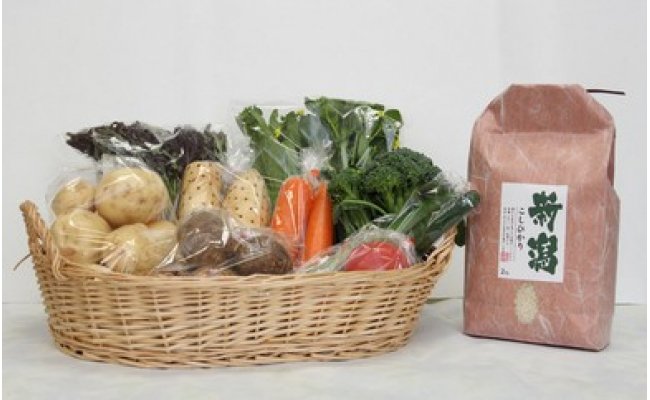 聖籠産有機米・季節野菜セットの特産品画像