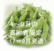枝豆の特産品画像