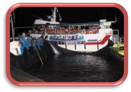ほたるいか海上観光のペア乗船券の特産品画像