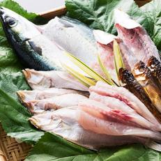 網元がつくる旬の魚のふくふく魚醤干しの特産品画像