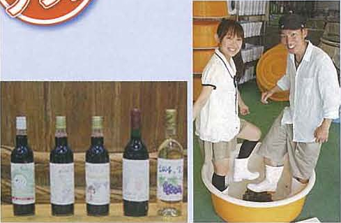 ぶどうの足ふみ　ワイン・ジュース作り体験プランの特産品画像