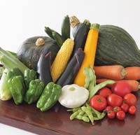 【諏訪野菜ブランディングプロジェクト】諏訪野菜（お手軽セット）の特産品画像