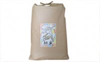 農家直送　林米（ハヤシライス）駒ヶ根産コシヒカリ15kgの特産品画像