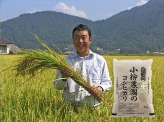 小柳農園の特別栽培米コシヒカリ　6㎏の特産品画像