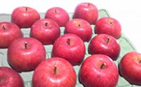 小優農園りんご（サンふじ）5kgの特産品画像