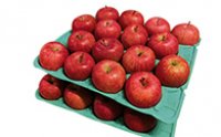中島農園りんご（サンふじ）10kgの特産品画像