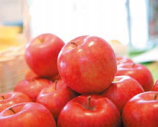 りんごの特産品画像