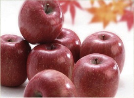 JAみなみ信州 りんご（サンふじ）5kg（10～18玉）の特産品画像