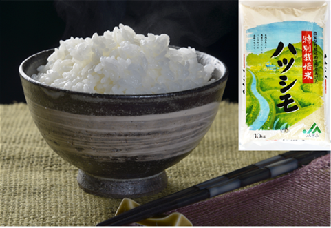 岐阜県産特別栽培米ハツシモ　20kg (10kg×2袋)の特産品画像