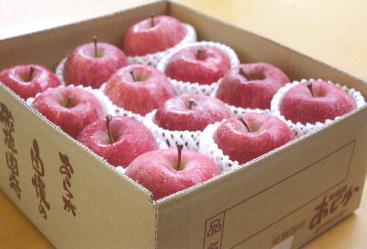 国府の特選果物「飛騨りんご」の特産品画像