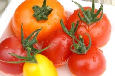 トマトファーム飛騨ナチュラルミックストマトの特産品画像