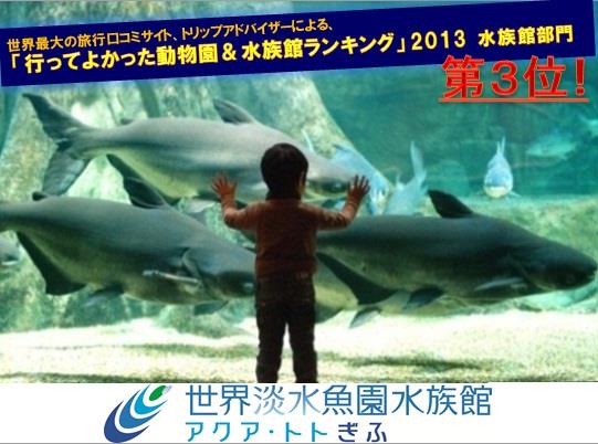 11 世界淡水魚園水族館「アクア・トトぎふ」入館券５枚セットの特産品画像