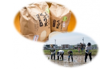 くくり米10ｋｇ田植え稲刈り体験付きの特産品画像
