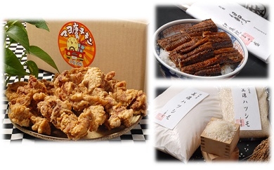 マヨ唐チキンと本格炭焼うなぎ　岐阜米ハツシモ1等米のセットの特産品画像