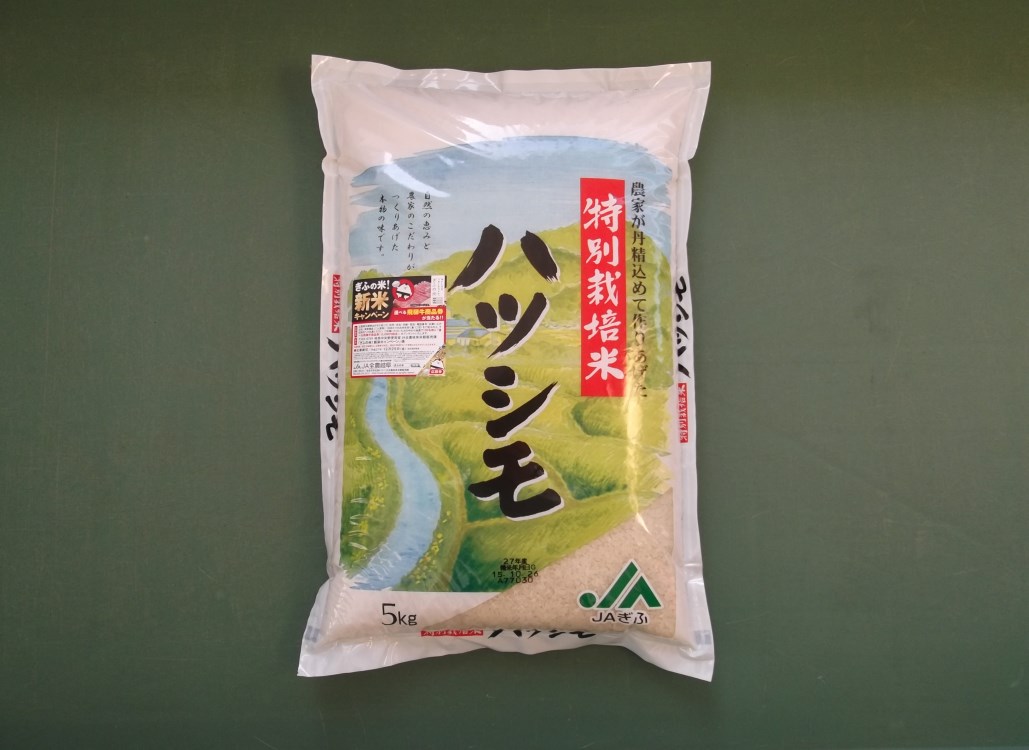 特別栽培米 ハツシモの特産品画像