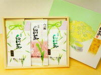菊之園厳選 白川茶3本セットの特産品画像