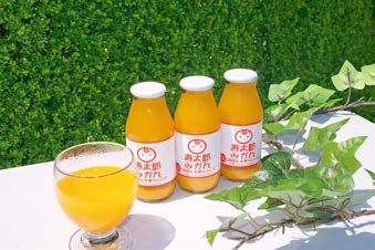 寿太郎みかん100％生搾りジュース　１ケースの特産品画像