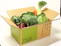 箱根西麓三島野菜の特産品画像