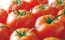 フルーツトマトと磐田産農産物の詰合せの特産品画像