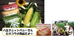 ☆うんまいトウモロコシ　＆　お茶ティーバッグ満喫セット☆の特産品画像