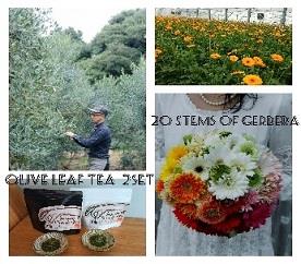 山本勝重オリーブ農園　×　ガーベラ農家　オリーブ茶2セット　+　ガーベラ20本の特産品画像