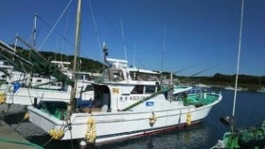 釣り船　海宝丸　乗船券　釣り物：真鯛・イサキ・カサゴ・イカの特産品画像