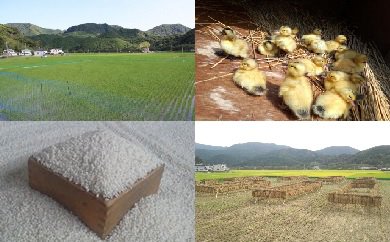 山芳園　通年アイガモ農法　宿六米（もち米）２㎏の特産品画像