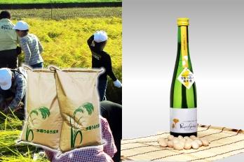 イチョウ花酵母純米酒プリンセスギンコと祖父江のホタル米セットの特産品画像