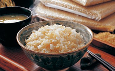 知立のお米（玄米）　コシヒカリ30kgの特産品画像