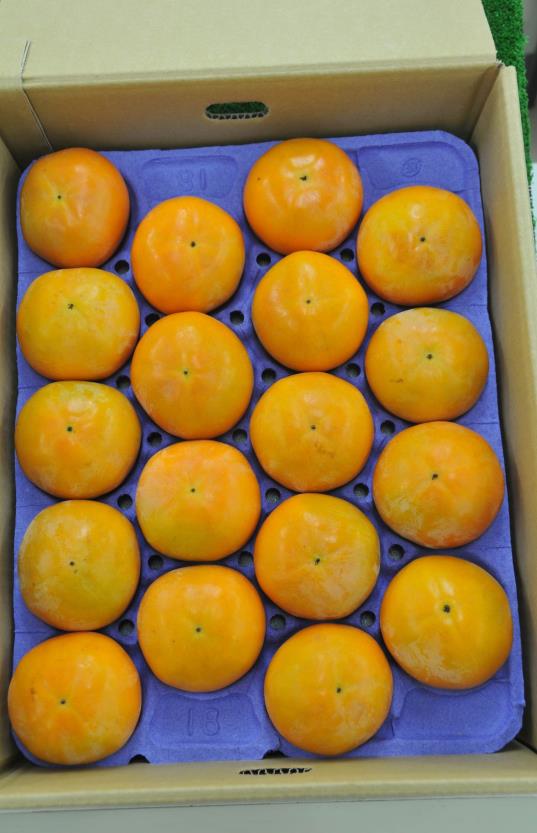 みよし産の柿の特産品画像
