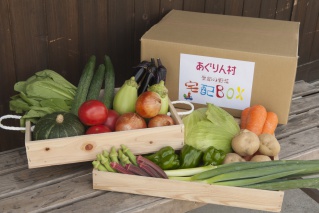 産直市場「あぐりん村」の新鮮野菜BOXの特産品画像