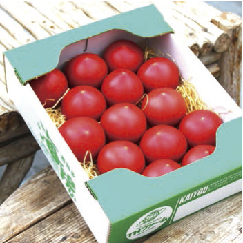 海陽トマト 2.6kgの特産品画像