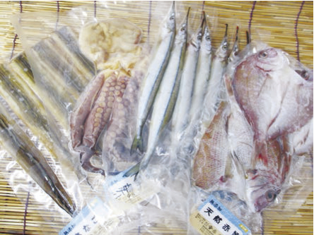 南知多の地魚ひもの詰合せの特産品画像