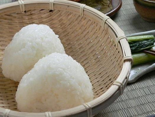 コシヒカリ（特別栽培米）１０ｋｇの特産品画像