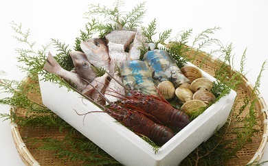 はし佐商店：漁師鍋水炊きセットの特産品画像