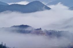 赤木城と丸山千枚田・熊野古道＆世界遺産めぐり１泊ツアーの特産品画像