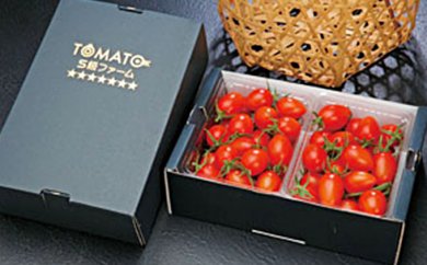 ミニトマト　アイコ（冷蔵）の特産品画像