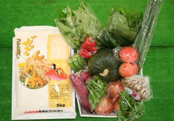 多気町特産品　お米と旬の野菜、果物詰め合わせの特産品画像
