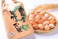 特別栽培米 ５ｋｇ・ひらがい有精卵 １６個の特産品画像