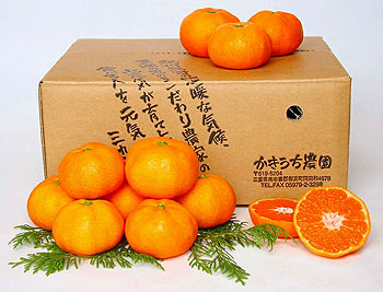 かきうち農園の旬のオレンジ便の特産品画像
